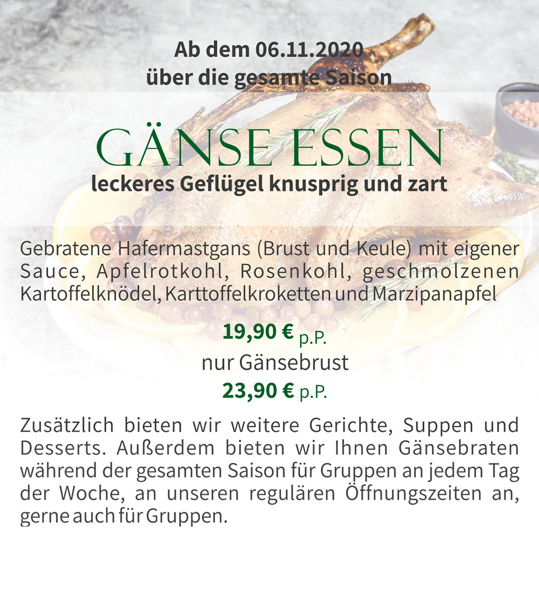 gänse essen